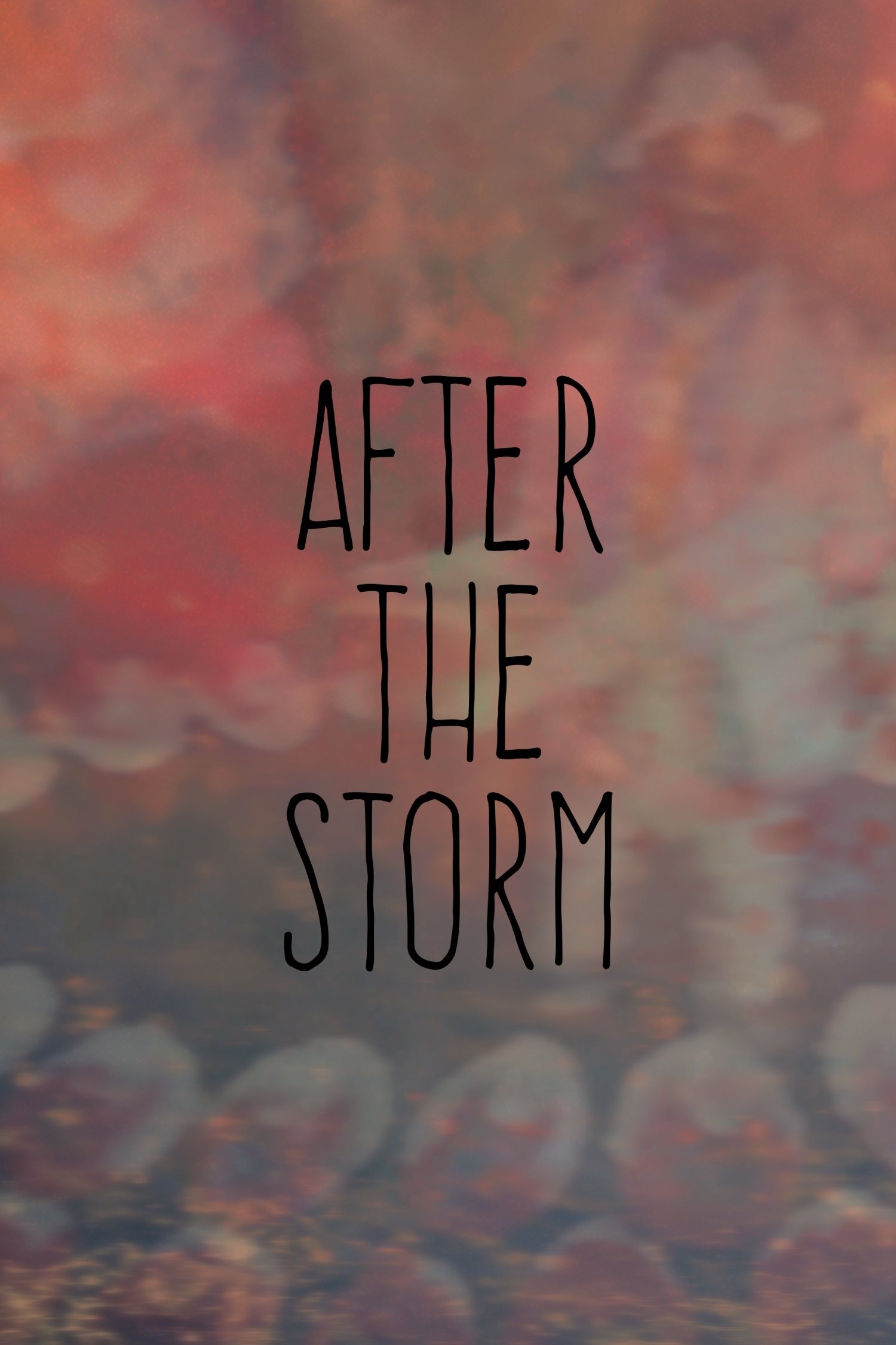 Постер After the Storm